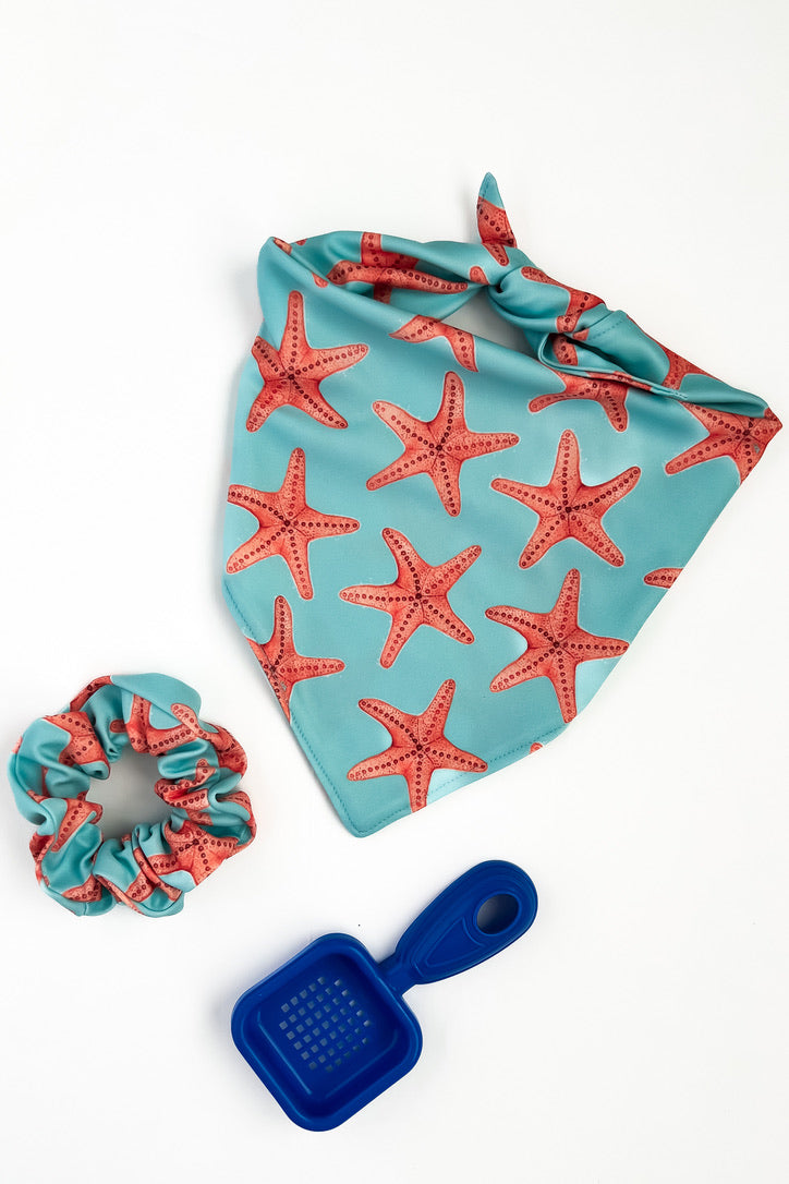 Starfish Bandana