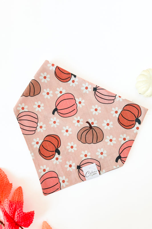 Groovy Pumpkins Bandana