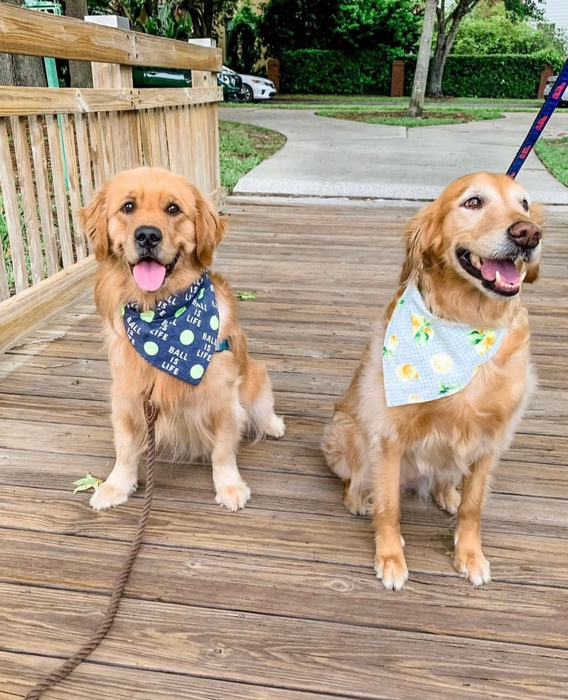 Fresh Lemons Bandana