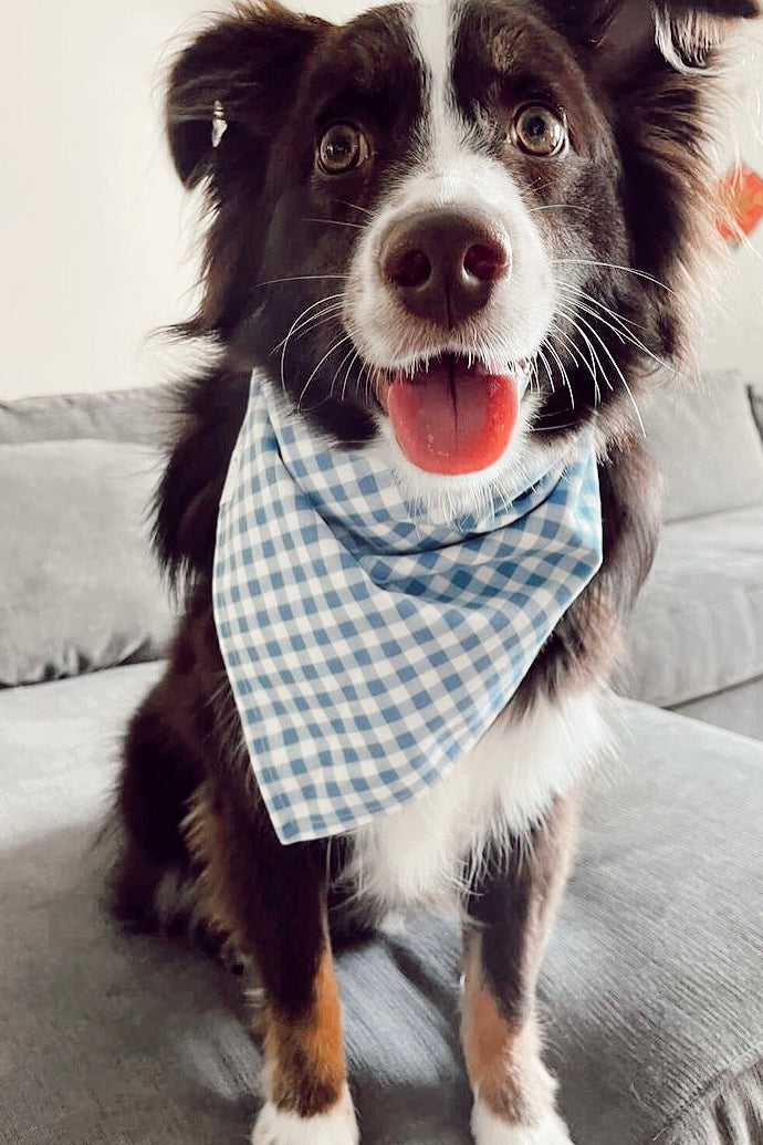 Blue sales plaid bandana