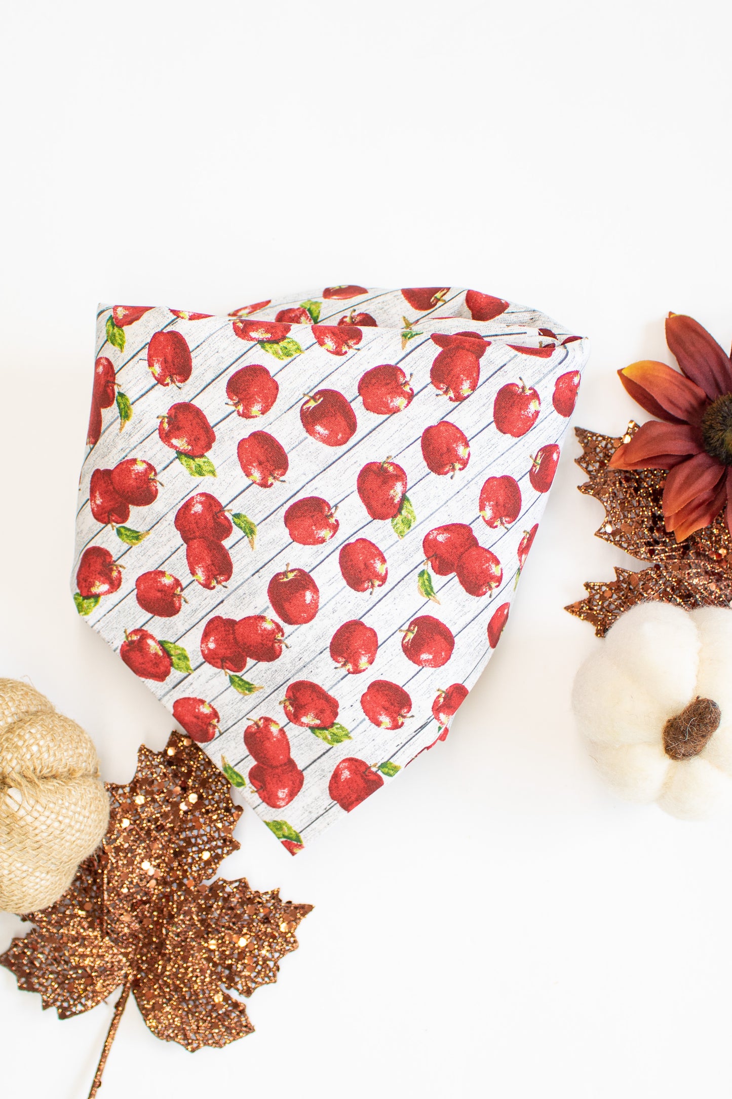 Apple Picking Time Bandana